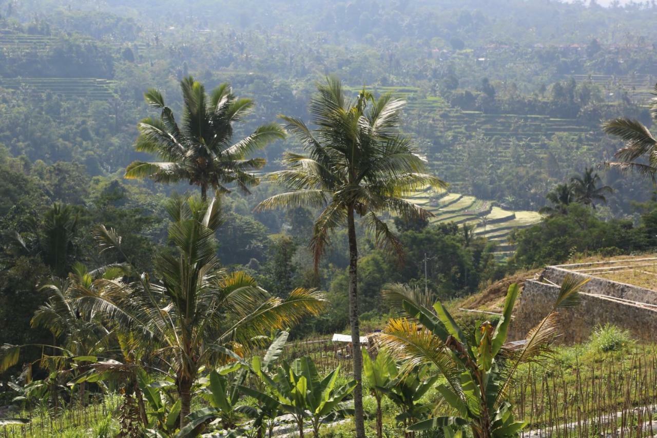 Pondok Plantation Luxury Mountain Escape Bedugul Bedugul  Eksteriør billede