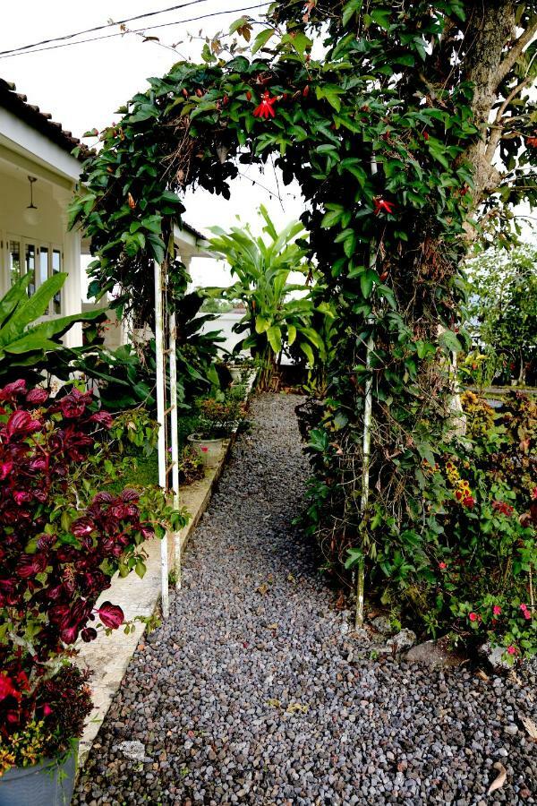 Pondok Plantation Luxury Mountain Escape Bedugul Bedugul  Eksteriør billede