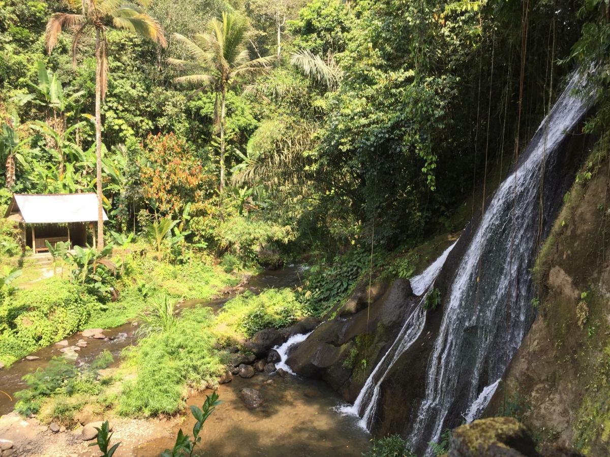 Pondok Plantation Luxury Mountain Escape Bedugul Bedugul  Eksteriør billede