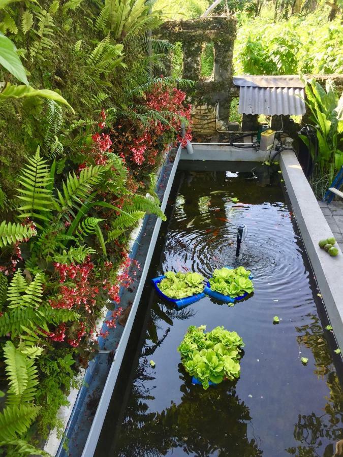 Pondok Plantation Luxury Mountain Escape Bedugul Bedugul  Eksteriør billede