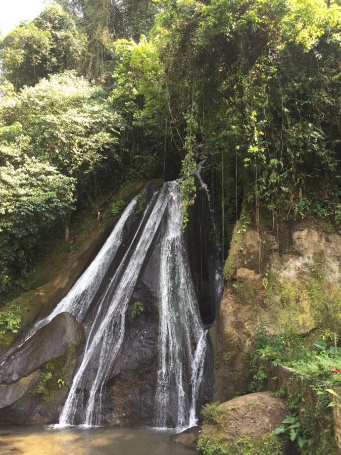 Pondok Plantation Luxury Mountain Escape Bedugul Bedugul  Eksteriør billede