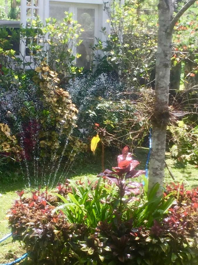 Pondok Plantation Luxury Mountain Escape Bedugul Bedugul  Eksteriør billede
