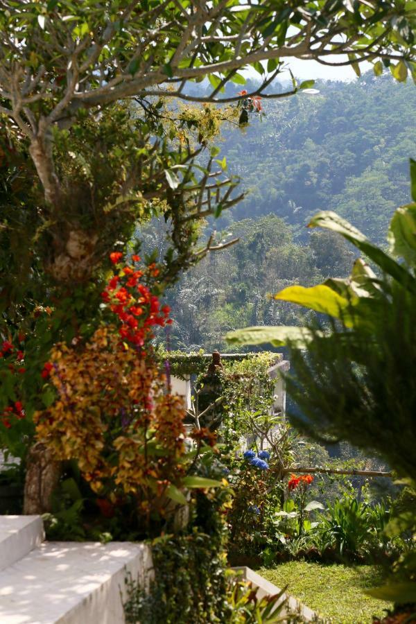 Pondok Plantation Luxury Mountain Escape Bedugul Bedugul  Eksteriør billede