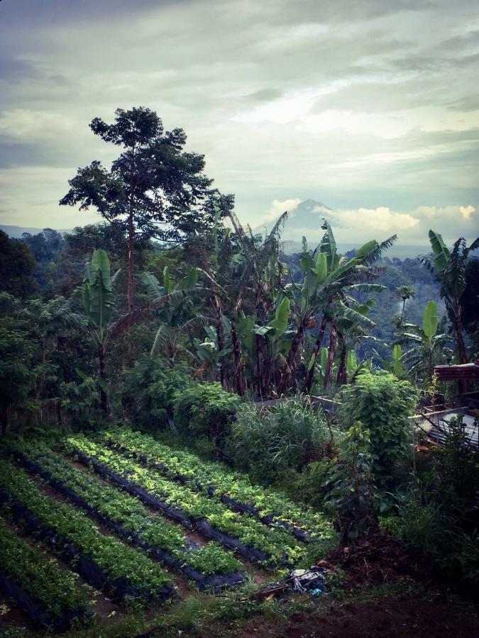 Pondok Plantation Luxury Mountain Escape Bedugul Bedugul  Eksteriør billede